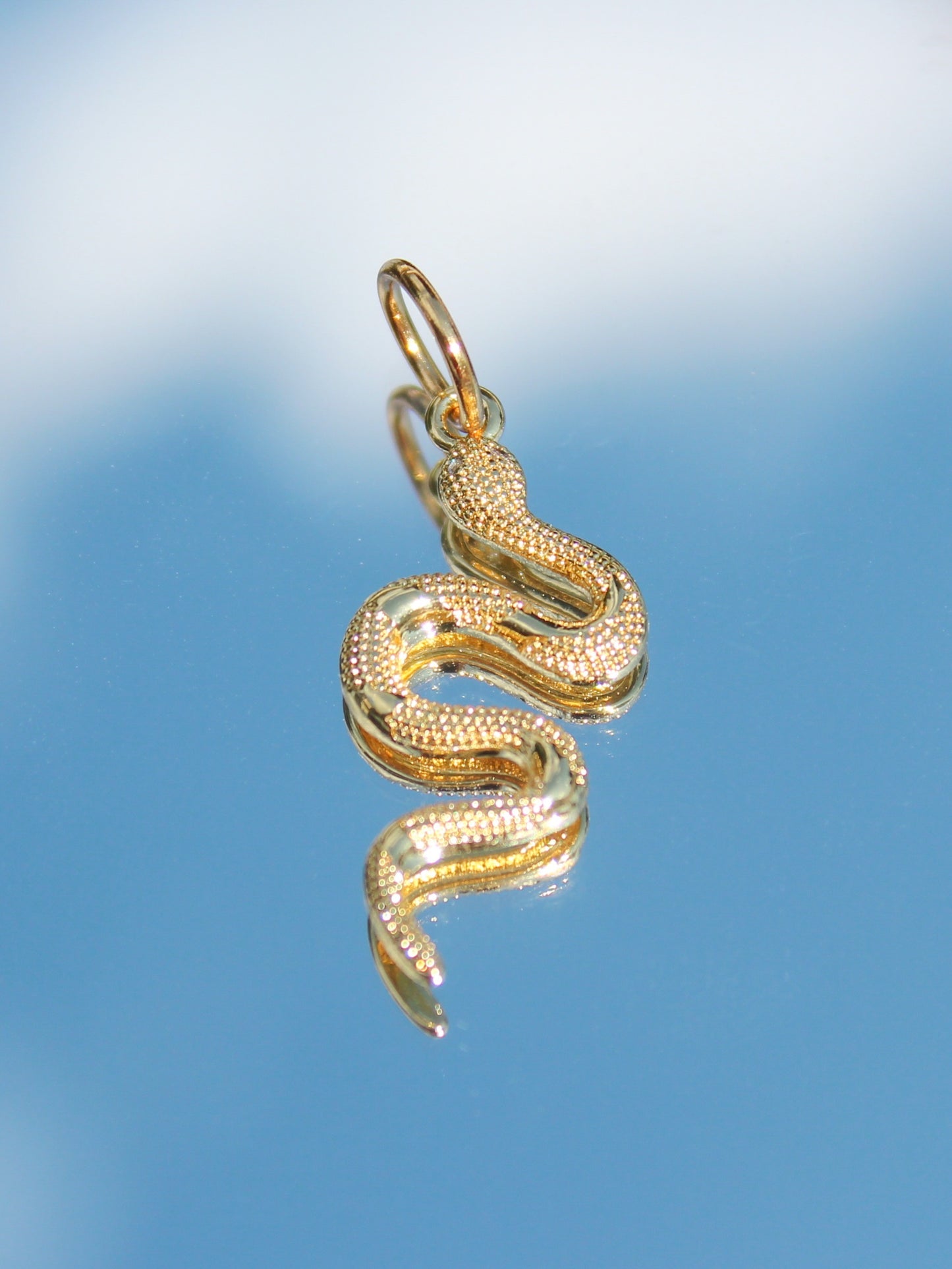 Snake Charm